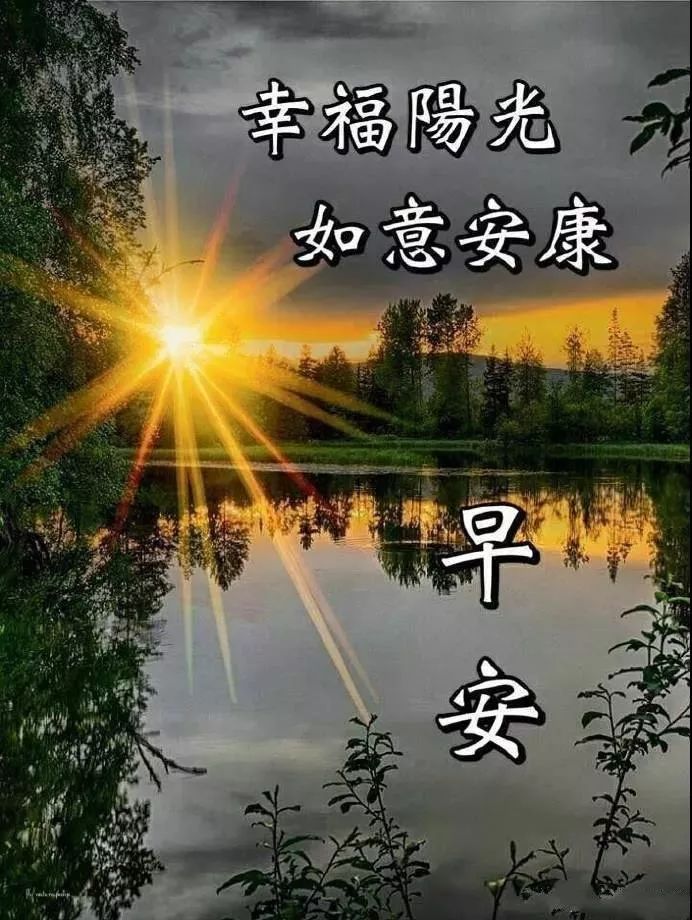 早安问候,感恩相遇,珍惜友情,祝您健康快乐，幸福阳光，如意安康图片