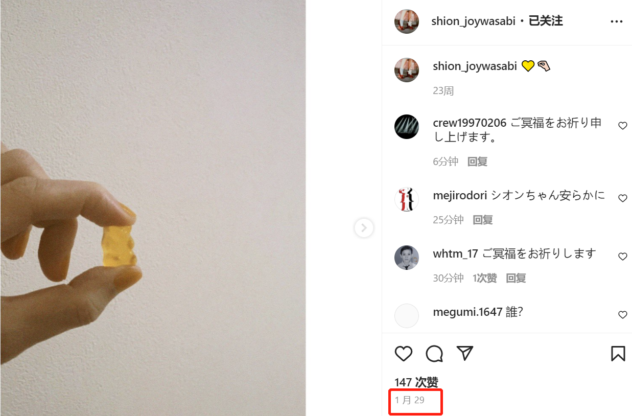 38岁女演员中丸紫苑突传死讯，惹自杀猜测，好友晒合影透露死因