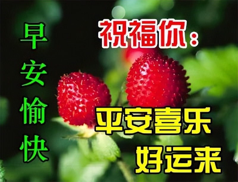 阳光周末早晨好图片动态大全，早安朋友，感谢一路有你陪伴图片
