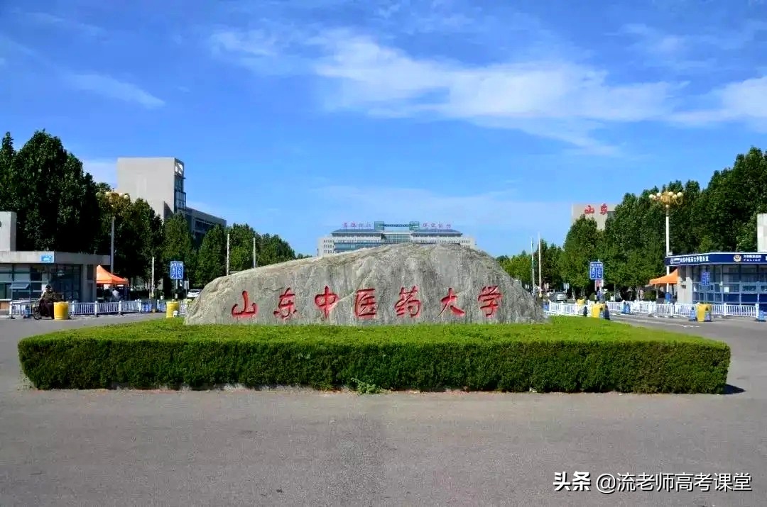 泰山医学院是几本大学（山东5所医药院校全是本科二批招生）