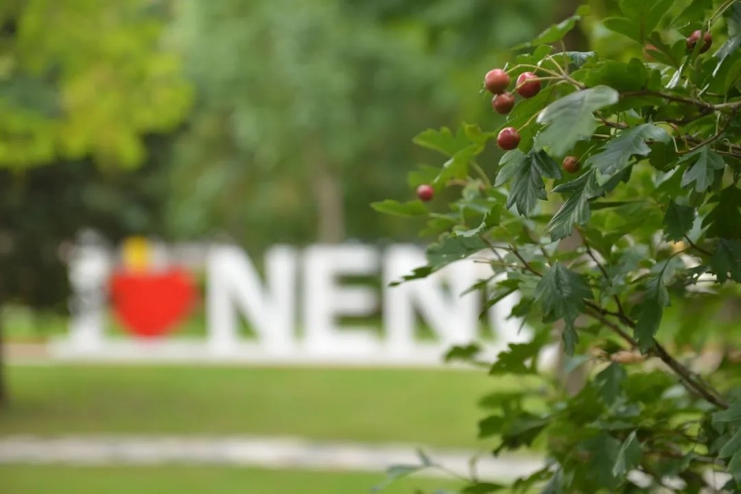 打地铺、搬物资、身兼数职！疫情之下，东师辅导员感动人心