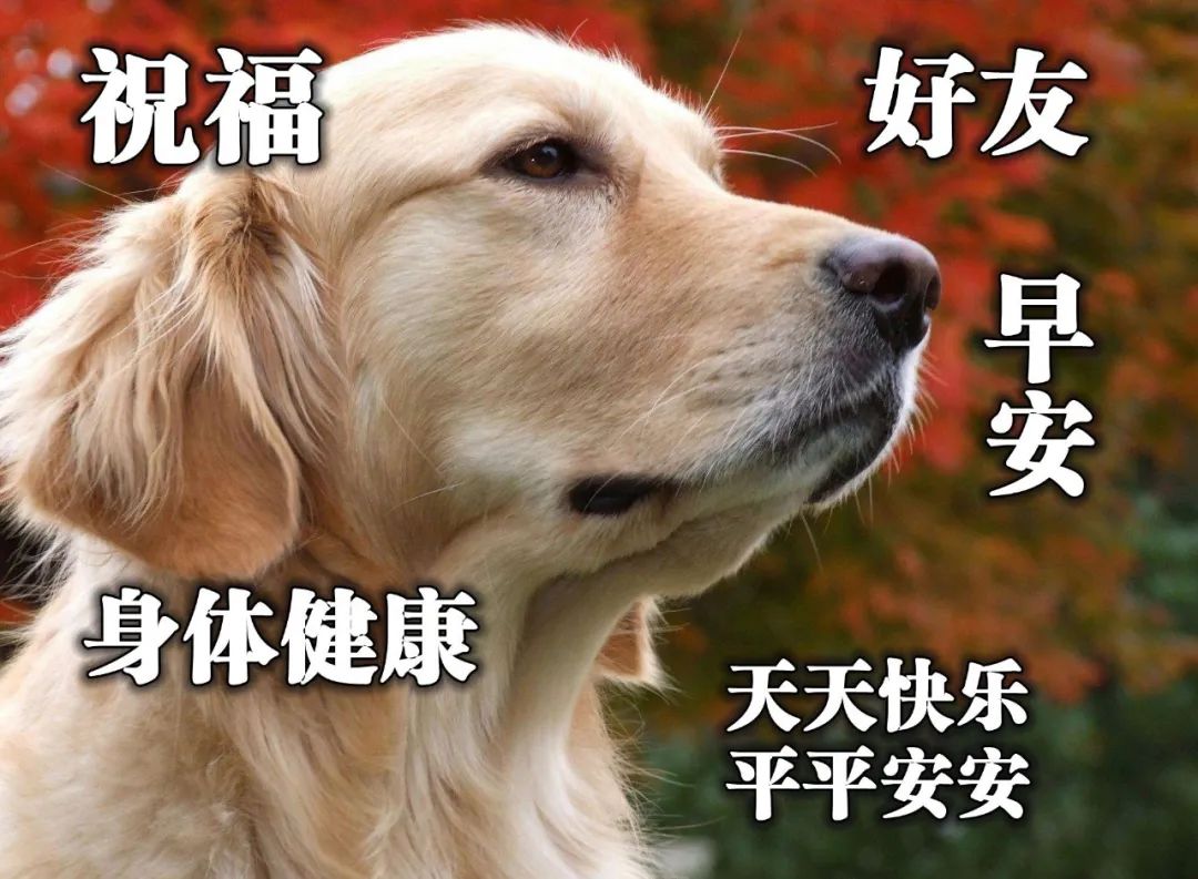 新的一周早上好问候语动态图片表情集锦 愿时光能缓、相聚不散图片