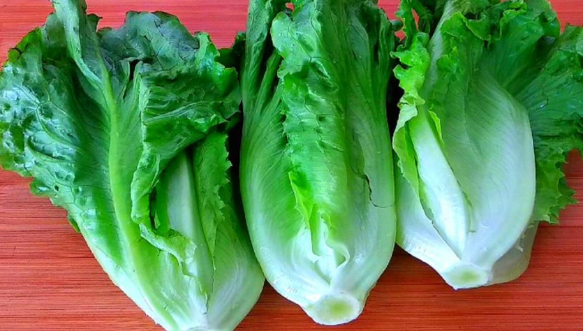 含“寄生虫”最多的2种蔬菜，寄生虫扎堆，菜贩子宁愿丢掉都不吃