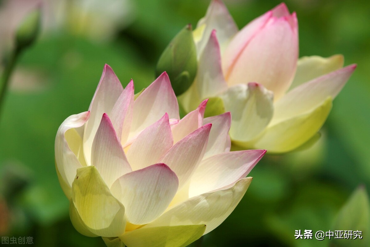 青海民族大学硕士研究生招生学院复试时间公告