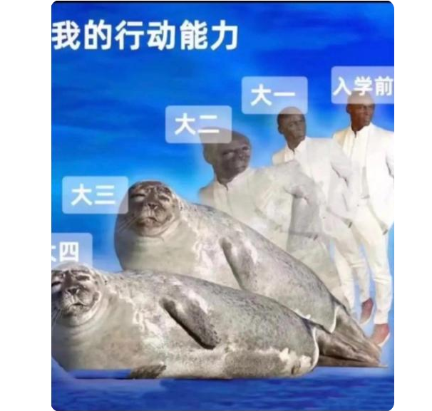 大学生搞笑吐槽大学4年划水经历，能力呈现倒退，也太虚度光阴了