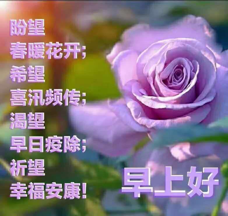 早上好最新版暖心早安问候美言 微信免打字春日早上好风景美图大全图片