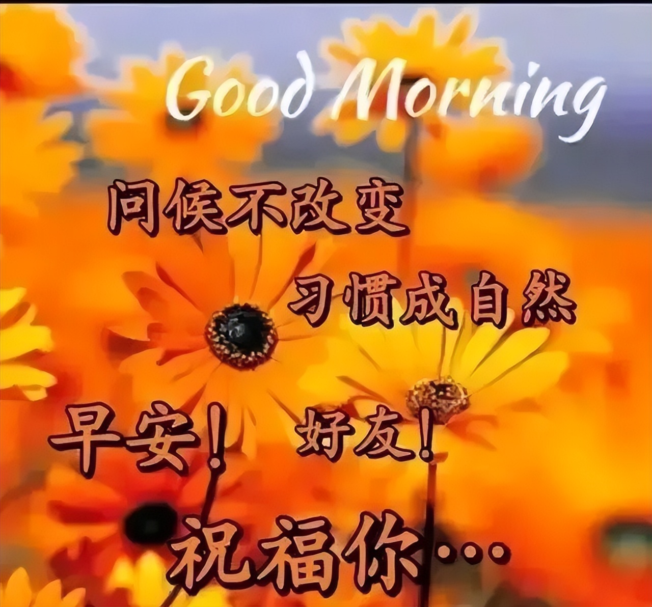 周三更新早上好表情包问候，精神好，心情好，事事顺心如意图片