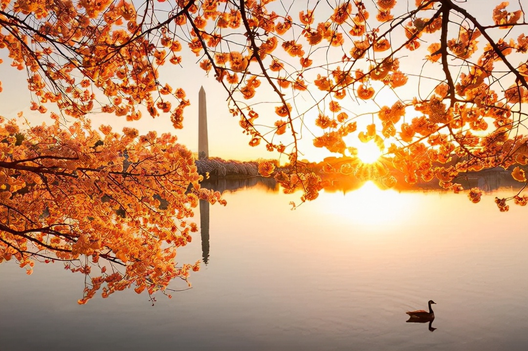 与人相处别太“坦诚”，有所保留是明智之举，特别在这4个方面