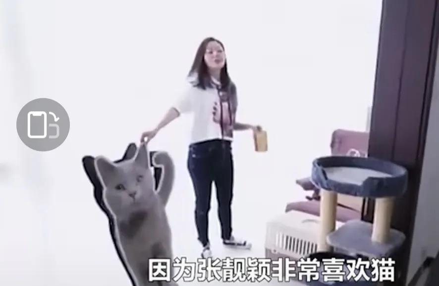 张靓颖到底有多壕