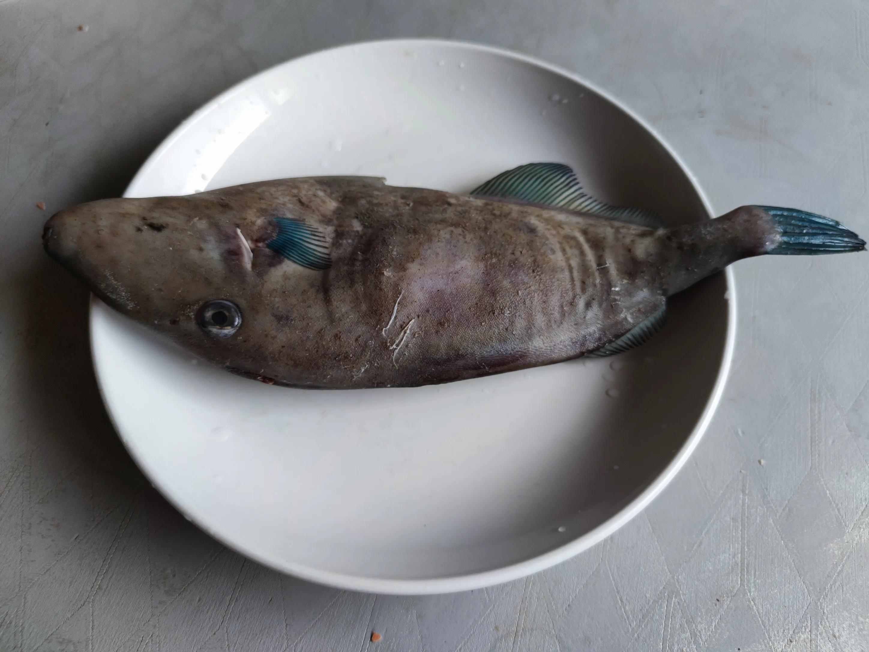 经评比,这6种海鱼上榜,你吃过哪种? - 114货源网