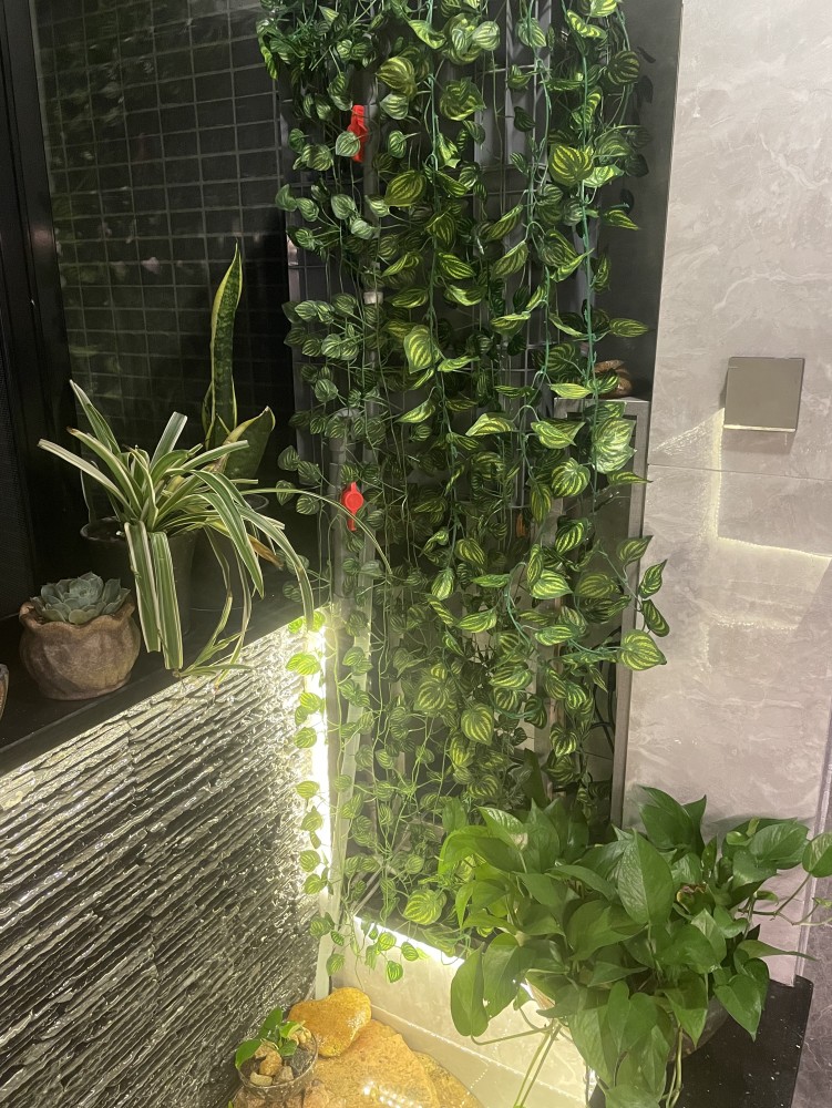 院子再小也要造个水景，鱼池上面架玻璃，人在上面走，鱼在下面游