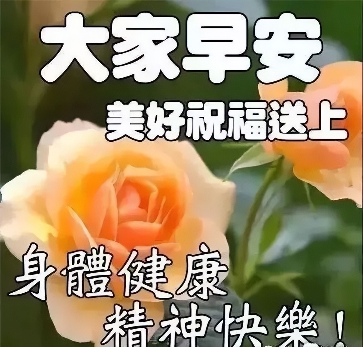漂亮的早上好图片 简短早安问候语 身体健康、精神快乐图片