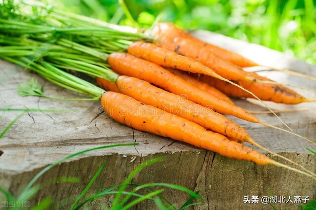 快开学了，多给孩子吃8种“护眼菜”，含大量叶黄素，营养又美味