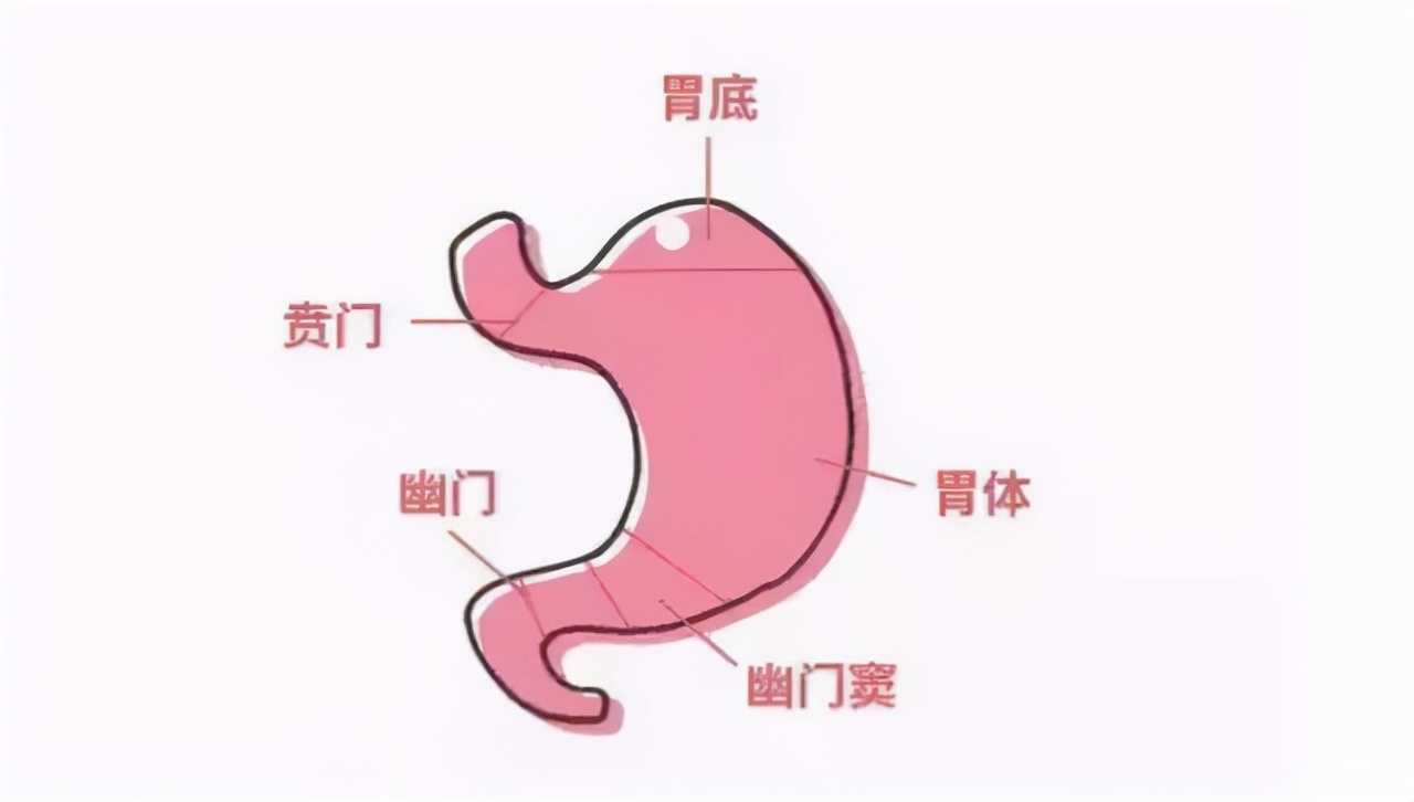 经常肚子胀是怎么回事？或和幽门螺杆菌有关，别不在意