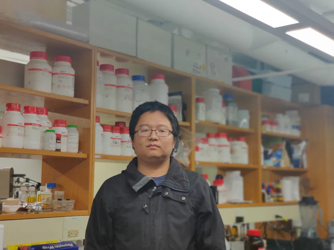 东北大学博士研发出选择性吸收太阳能吸收器，即将加入华科做博后