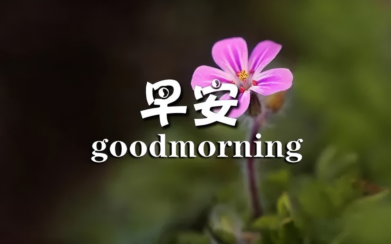 早上好祝福，清晨微信问候，美好祝福送给你，出门加衣，注意防寒图片