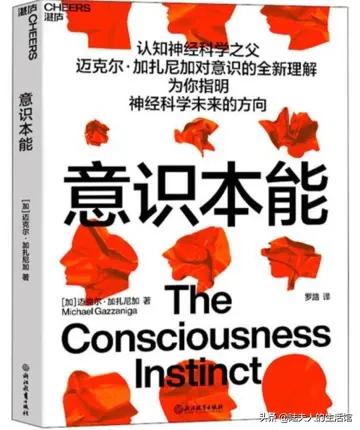 大脑究竟如何构建思维并由此产生意识体验？