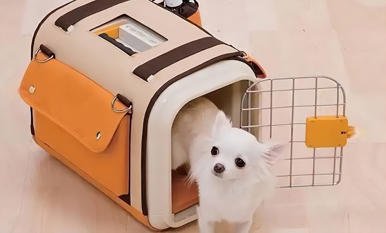 猫砂铲屎设备APP软件开发的功能清单