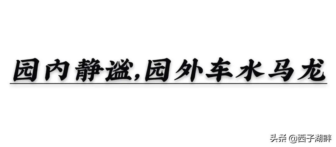 惠州西子湖畔招聘官网（惠州这个公园位于市中心）