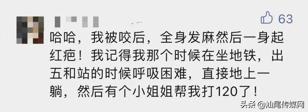 当心这小虫，有人被咬后进急诊！广东户外很常见