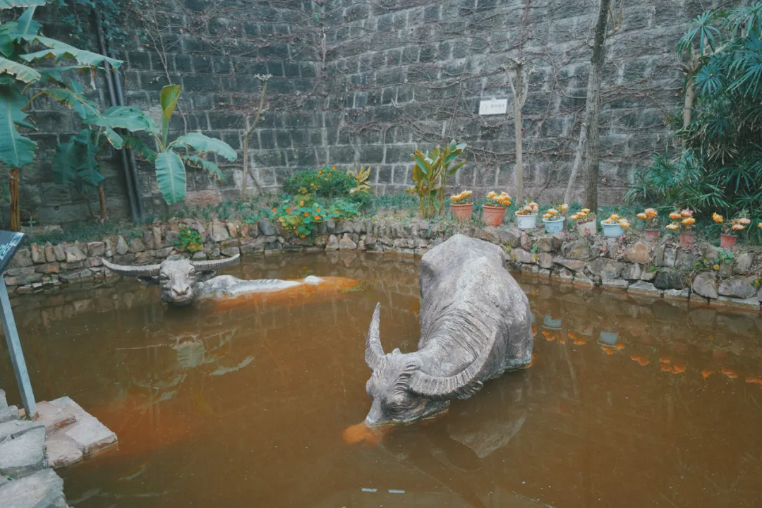 最近超火的盐帮菜之乡让我大开眼界，奇怪的知识又增加了