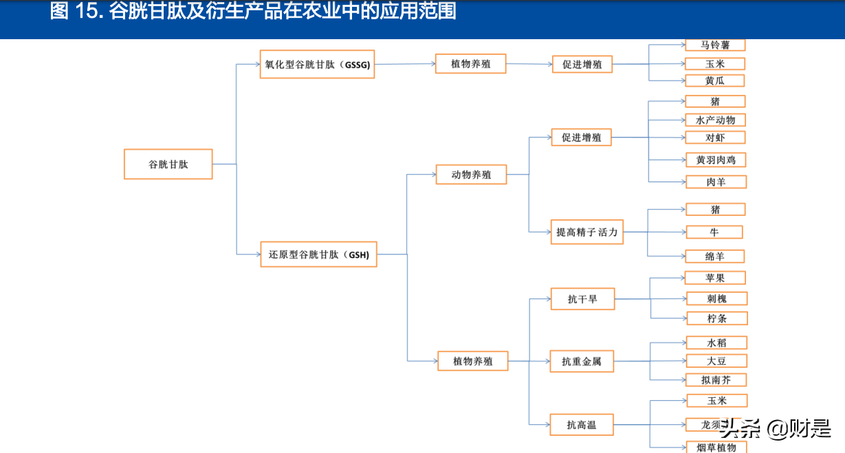 金城医药研究报告：生物合成与化学合成双平台能量开始爆发