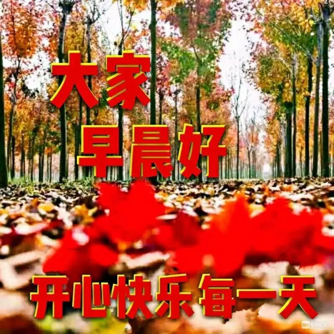 星期六清晨早上好问候祝福动态表情图片 开心快乐每一天图片