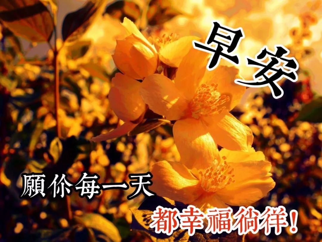 周末最新早安问候语动态图片表情 天气炎热、防热避暑、身体安康图片