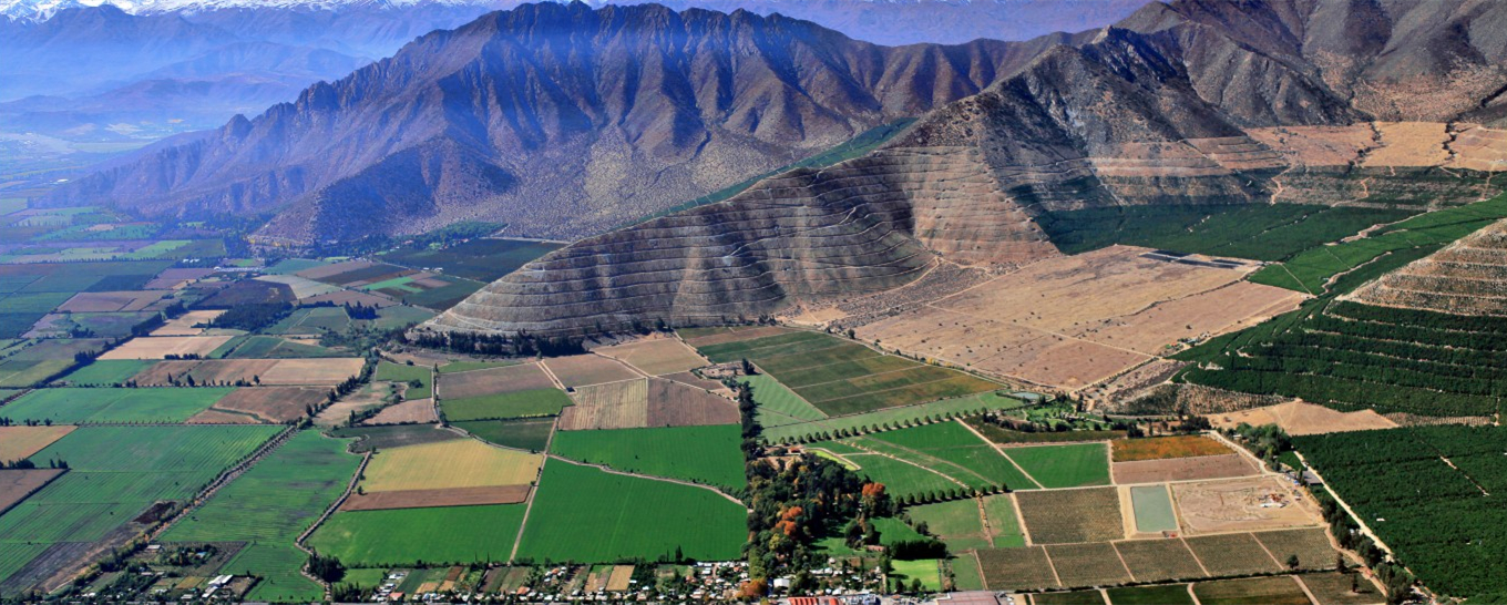 全球五大最具可持续性的葡萄酒产区