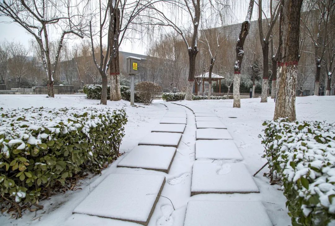 开年瑞雪，师大校园寂静如诗