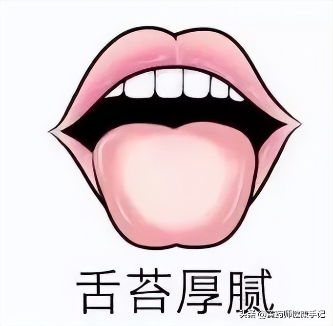 小小中药草果,不仅抗疫方用它,还能暖胃祛湿,缓解腹胀舌苔厚