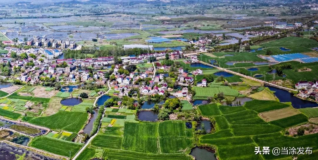 当涂县村均集体经营性收入居全省涉农县第一