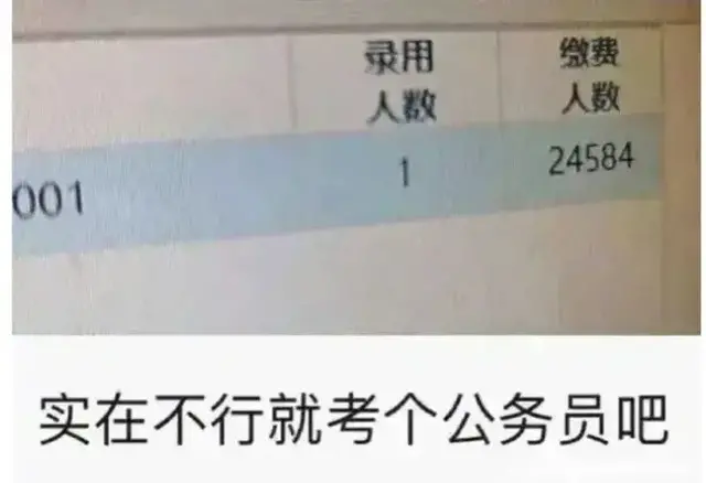 实在不行就考个公务员吧