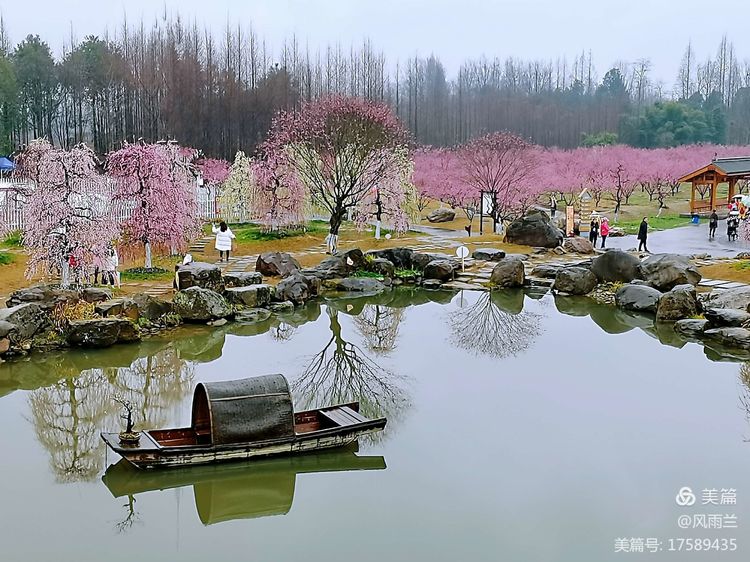 烟雨蒙蒙问花村 作者：武术兰