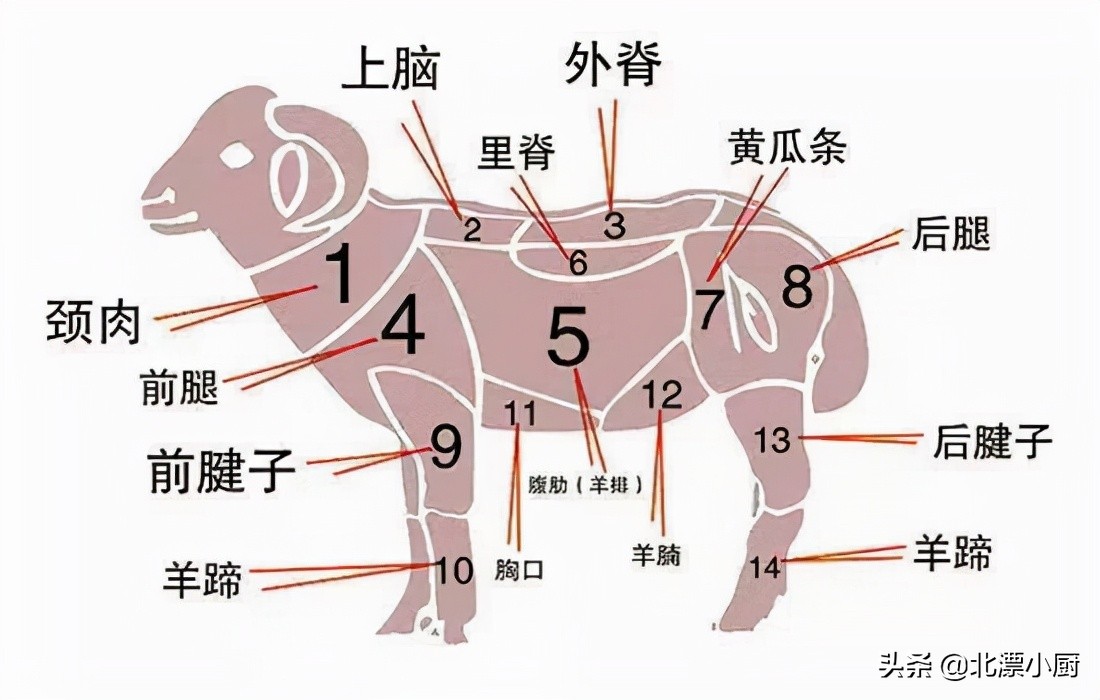 羊身上最“精华”的5块肉，肉贩子总会偷偷留下，懂行的人常会吃