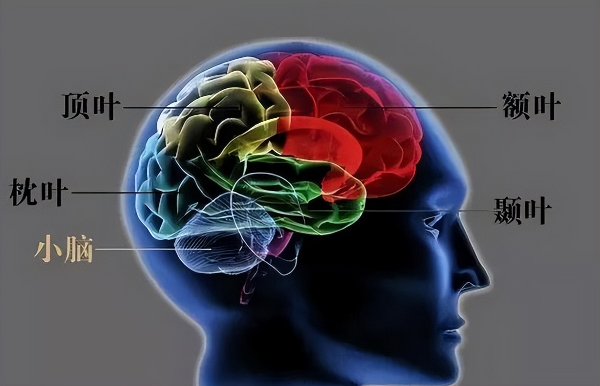 为何我们会看到“鬼”？科学家通过实验，证明了“鬼”的真相