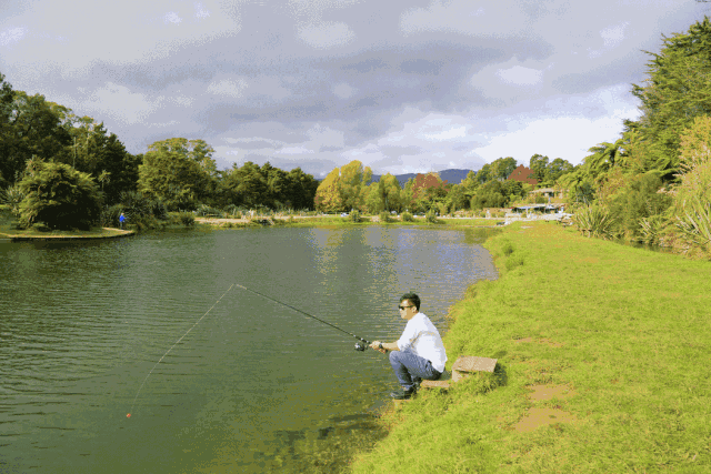 南方水域繁殖最成功的入侵物种，已有40年，却常被人误以为是草鱼