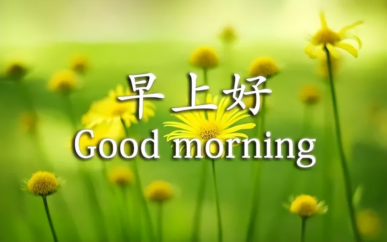 今日更新早上好表情包，岁岁平安，平安健康，快乐如意图片