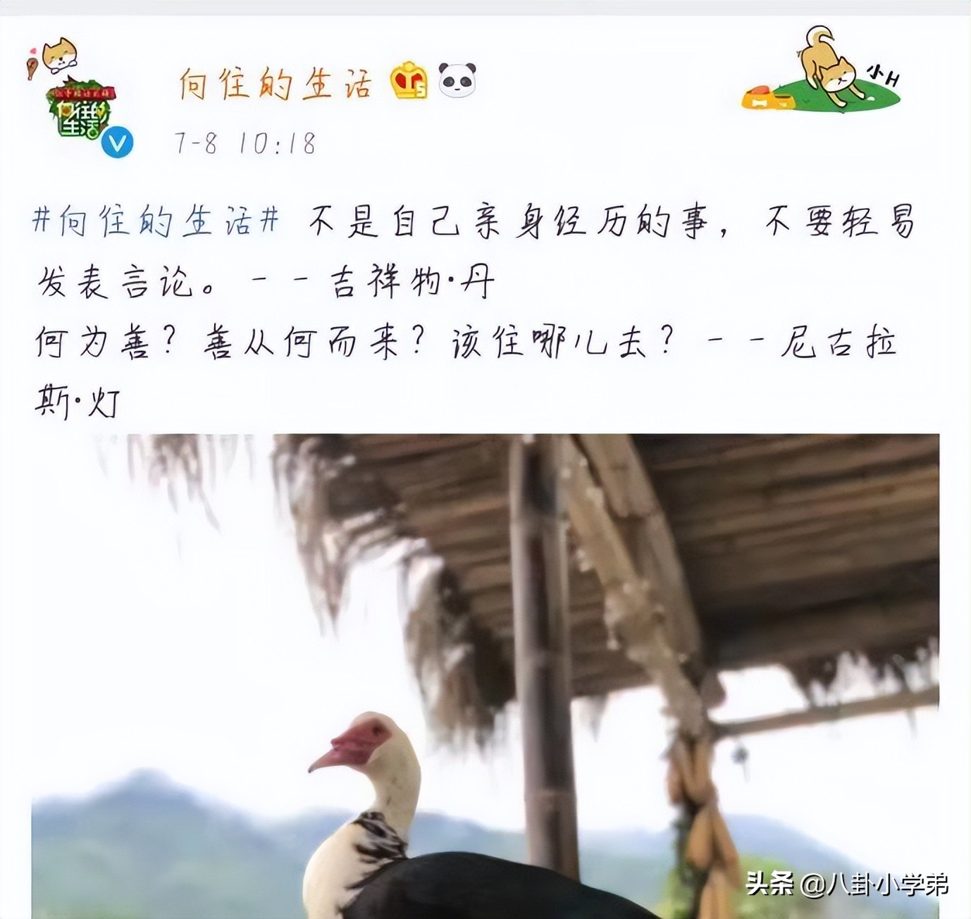 这5位明星好敢说！杨颖回应假吃，宋丹丹：杨紫张一山绝对好不了