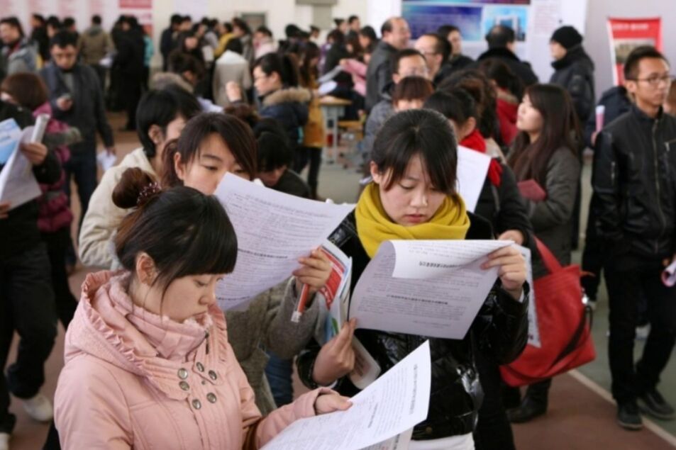 南京大学博士毕业生求职，被11所高校“无情拒绝”，网友看法不一