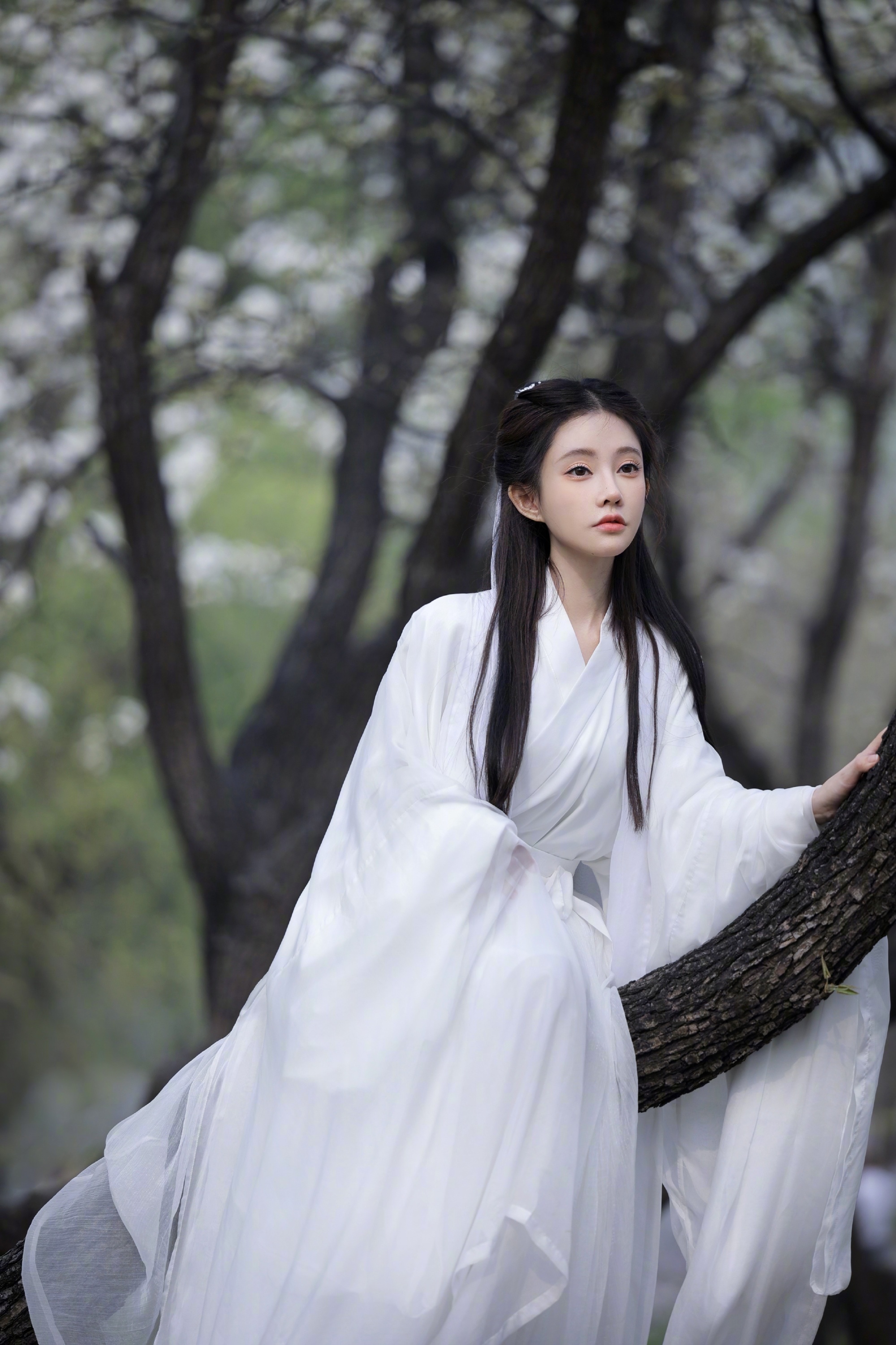 冯提莫古风照合集，既是歌中精灵也是百变女王
