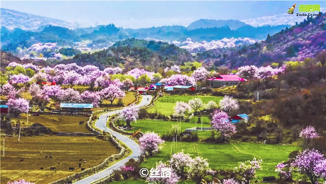 快开啦！这些地方的春景正在悄悄席卷全国，大气又美丽，别错过