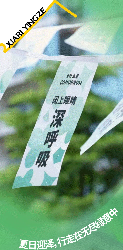 夏日迎泽，行走在无尽绿意中