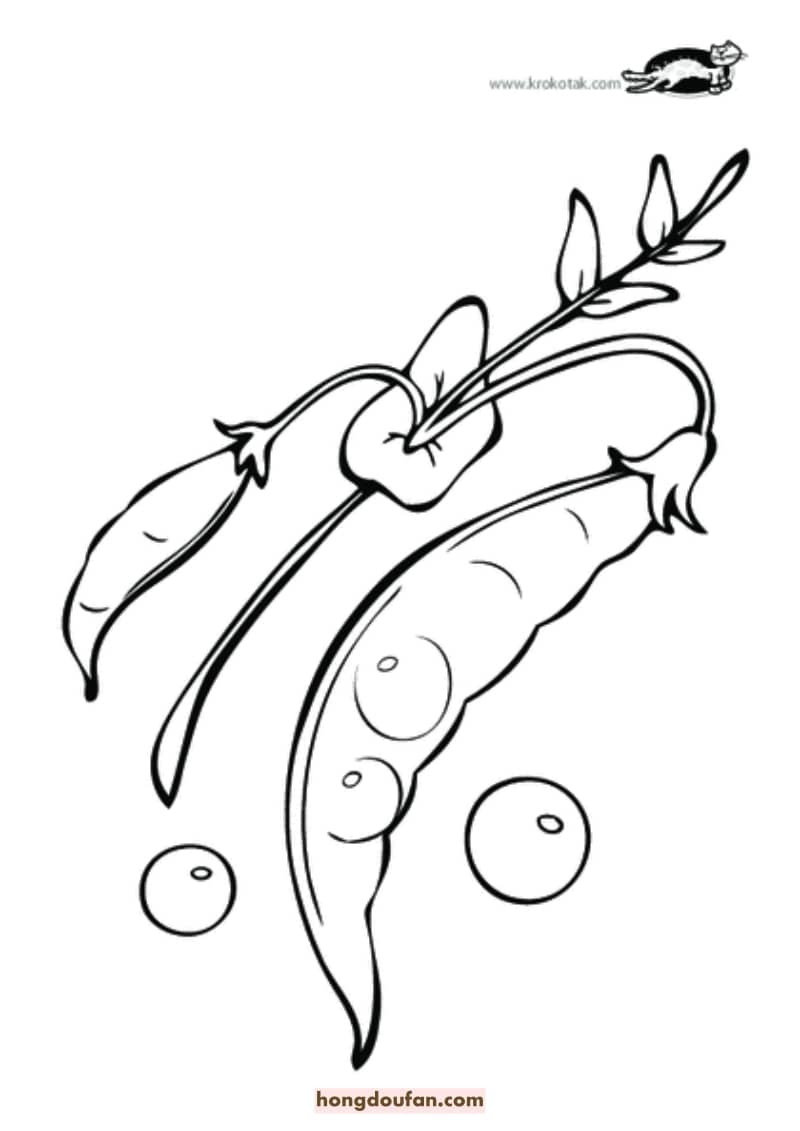 14张简单有趣的线条水果蔬菜卡通简笔画!水果苹果香蕉胡萝卜