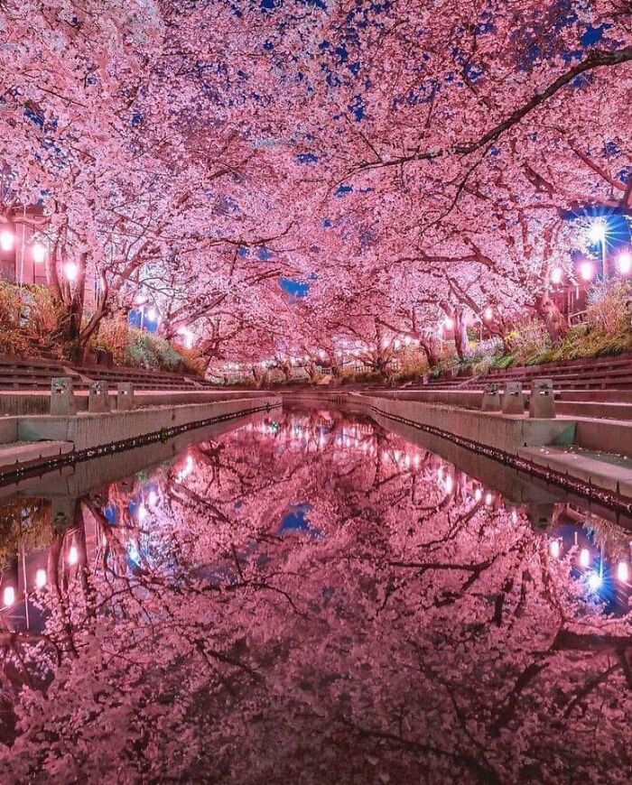 世界上35个神奇美丽的地方,你可能从未见过,能在这里一天也好