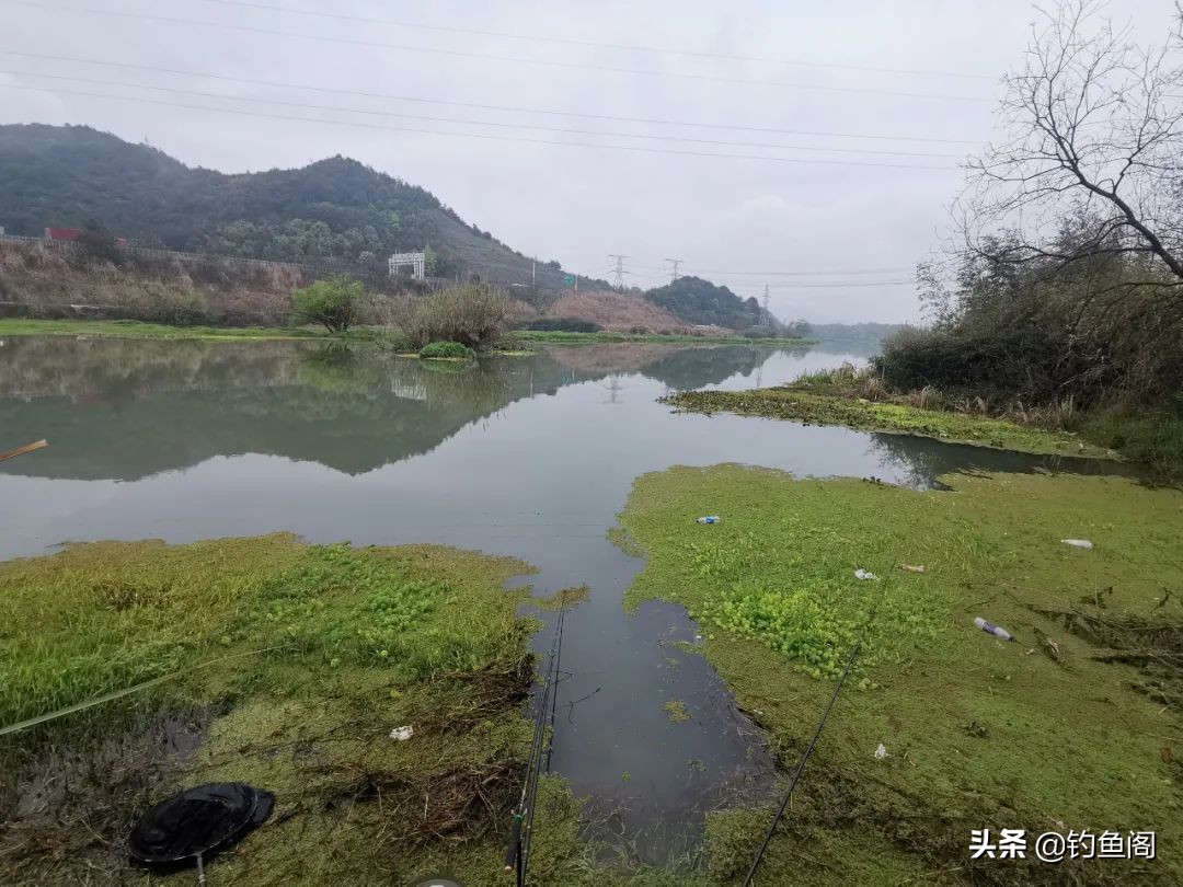 春天晚上钓鱼钓深还是浅（送你2套方案再不上鱼就抽水吧）