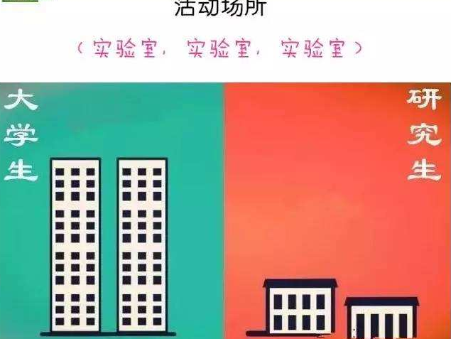 研究生和本科生的差距，4张图告诉你真相，网友：人间真实