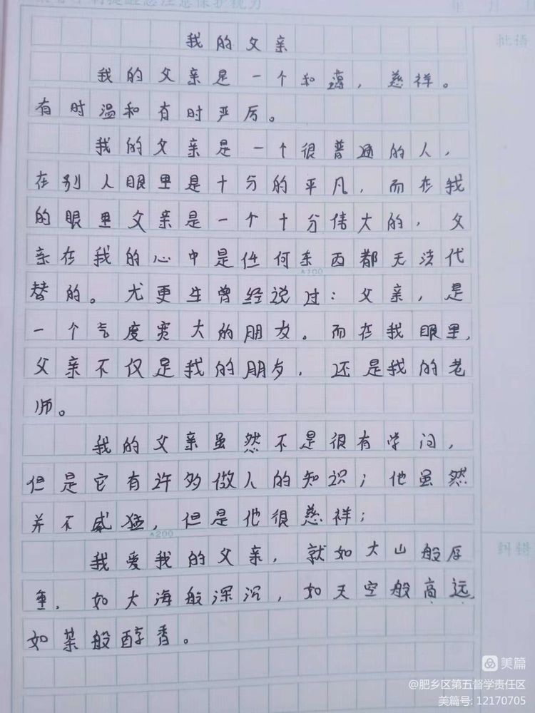 肥乡区辛安镇中心校孟张庄小学父亲节活动(图9)