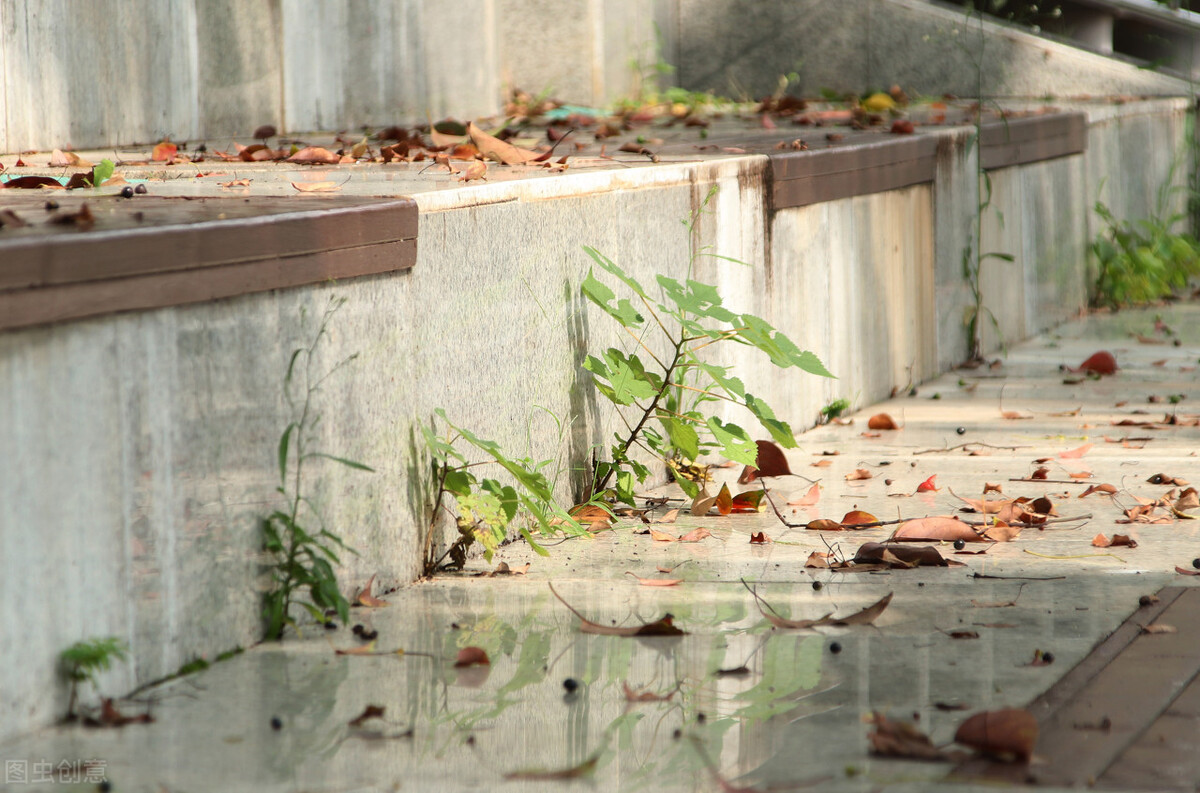 业界内口碑非常好的5所专科学校，学生就业质量比较高，收藏