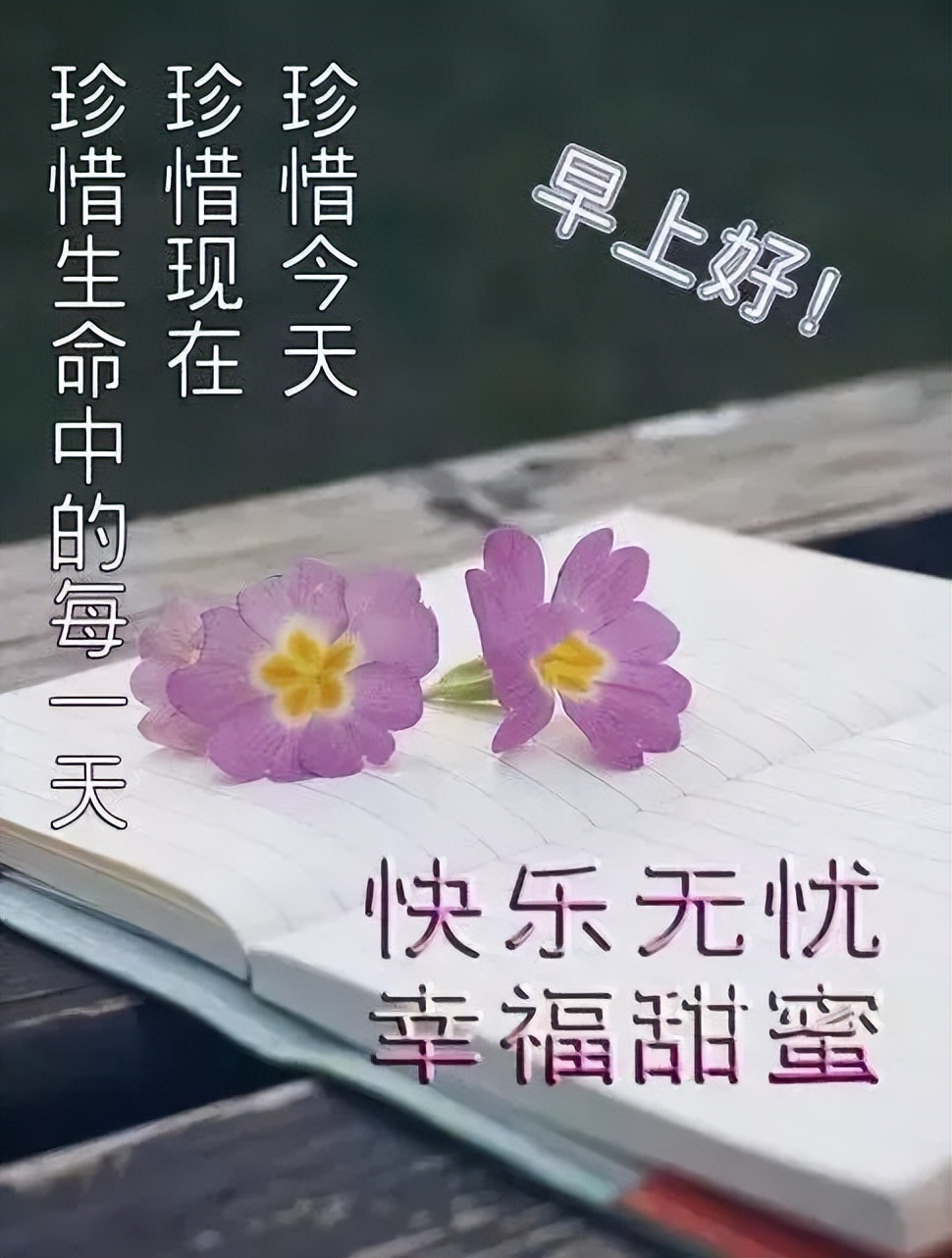 在乎你的人会不断祝福你 朋友们星期二早上好 生命不求富贵只求平安图片